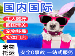 三义机场快运国际宠物托运 【国